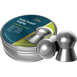 H&N FIELD TARGET TROPHY 25