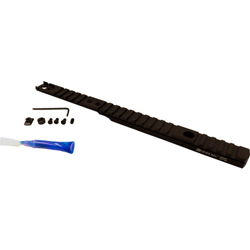 XS LEVER RAIL HENRY .45-70